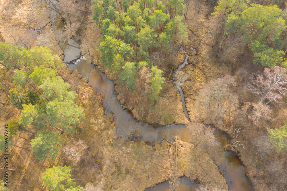 Mała, nieuregulowana rzeka płynąca przez las. Zdjęcie z drona. - obrazy, fototapety, plakaty 