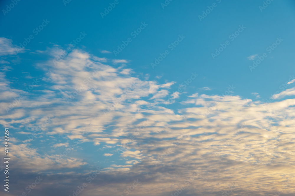 Natural blue sky background with beautiful puffy white cumulus clouds and fluffy cirrus clouds illuminated by the pink light of the setting sun. Beautiful natural sky background