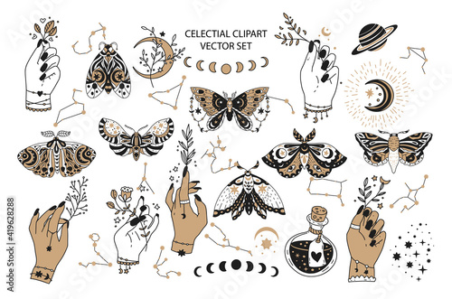 Magic celestial vector moon and star illustration. Isolated mystery graphicv symbols. Sacred set, with woman hand and butterfly.