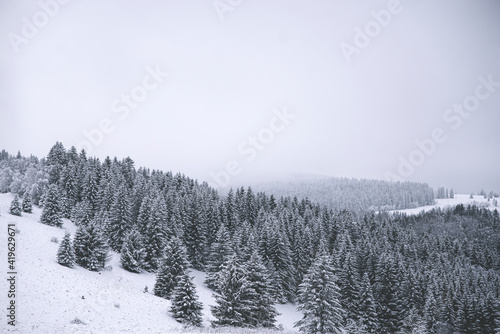 zima las góry śnieg