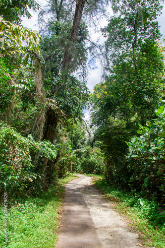 The forest trail in Sungei Buloh wetland reserve Singapore. 
A nature reserve in the northwest area of Singapore, its global importance as a stop-over point for migratory birds.  photo