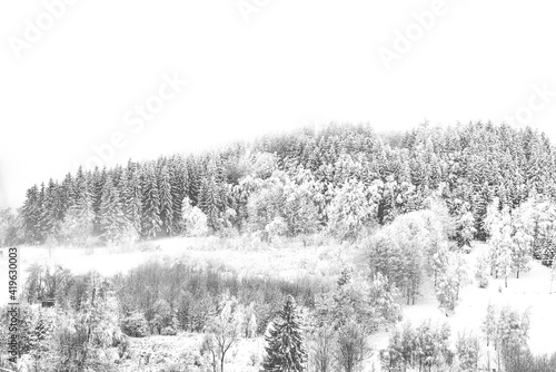 zima las góry śnieg