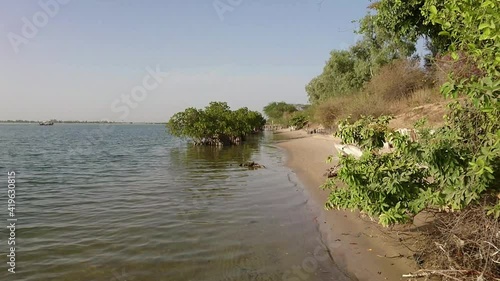 l'ile de Mar Lodj, au coeur du Siné Saloum photo