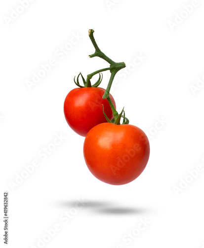 Tomatoes on the vine isolated on white background