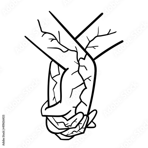 One hand holds the other, contour drawing in black color isolated on white background, stock vector illustration for design and decoration, print, pattern, crack, kintsugi © Anzhelika Kononec