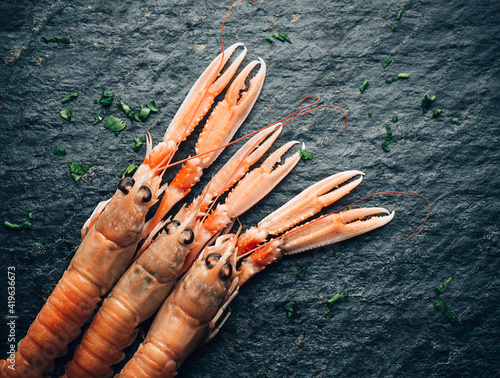 Luxury fresh raw langoustine or Scampi (Dublin Bay Prawn or Norway Lobster) on the  black slate surface sprinkled with  parsley. Seafood delicacies. Horizontal format photo
