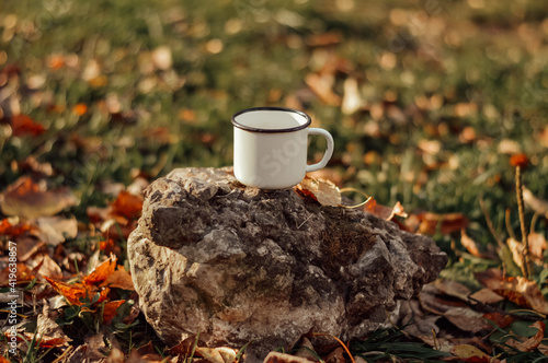 Wallpaper Mural mug on the stone Torontodigital.ca