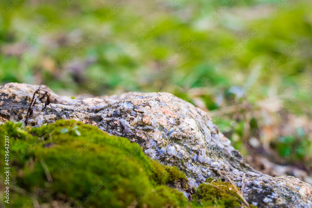 Natural granite stone covered with green moss. Closeup Natural granite stone covered with green moss. Closeup