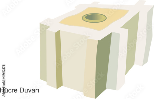 Vector Illustration of a Cell Wall, Online Education Material. English Translation: Cell Wall