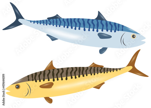Gold and blue mackerel in the set.