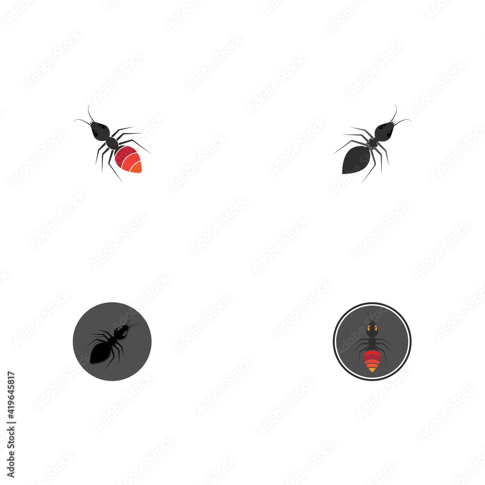 Fototapeta premium Ant vector illustration design