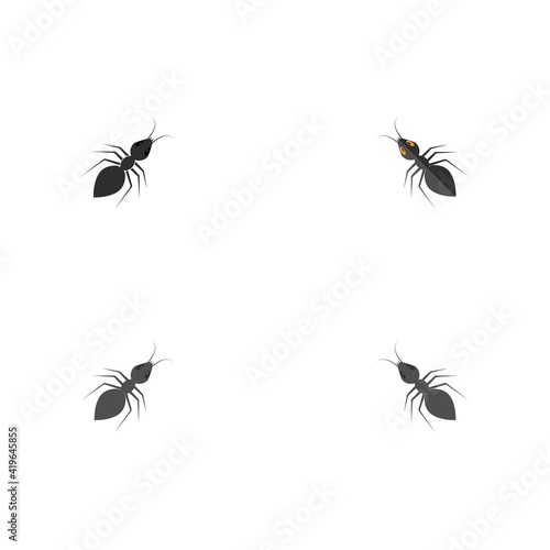 Ant vector illustration design © Jeffricandra30