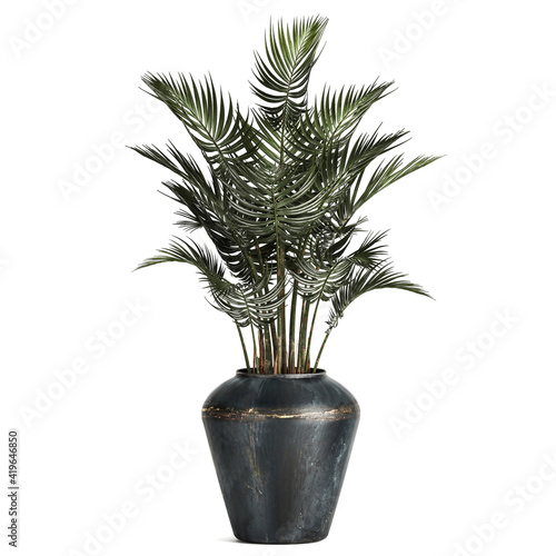 palm in flower pot metal isolated on white background