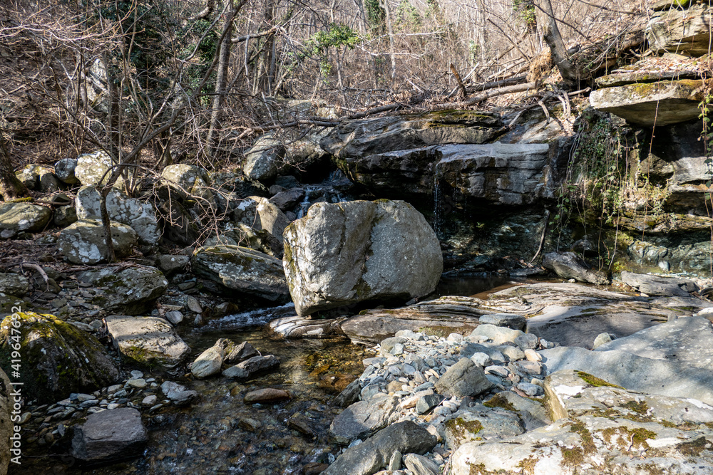 Boschi di Alpicella, Parco del Monte Beigua (Savona) Boschi di Alpicella, Parco del Monte Beigua (Savona)