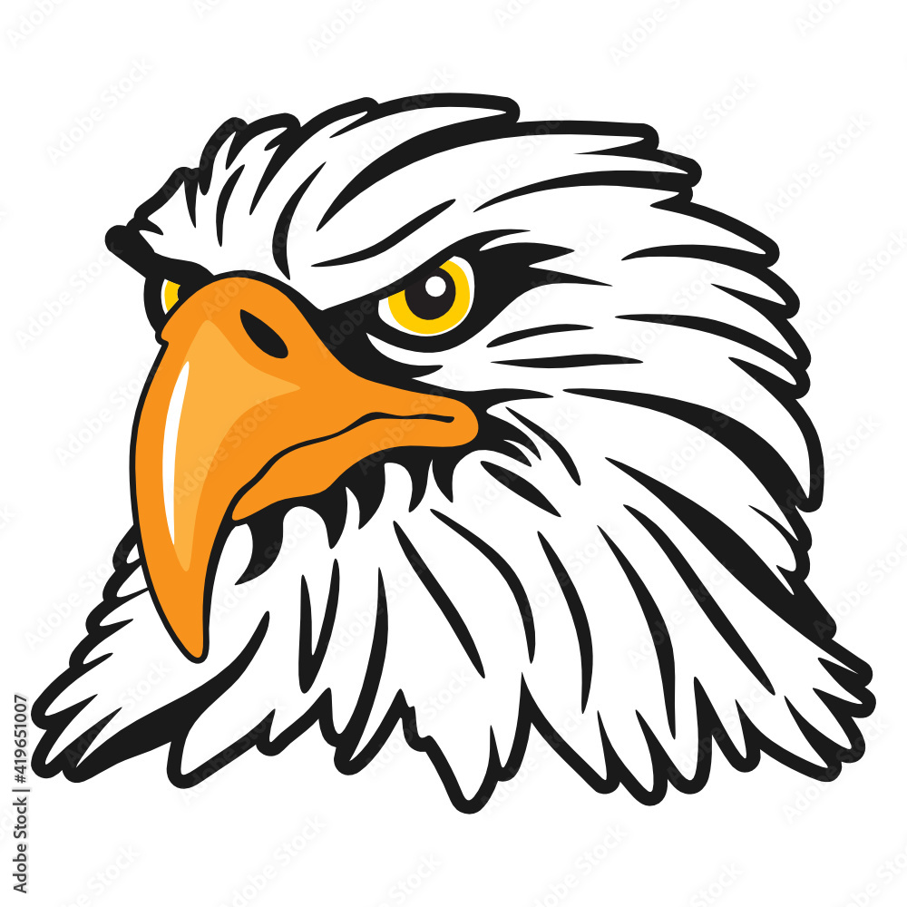 Fototapeta premium bald eagle head