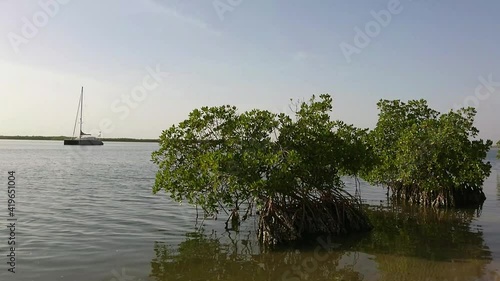 l'ile de Mar Lodj, au coeur du Siné Saloum photo