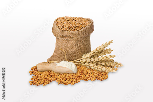 Wheat flour Bunch of wheat ears, dried grains in wooden bowl, flour in wooden bowl on white background. Cereals harvesting, bakery products