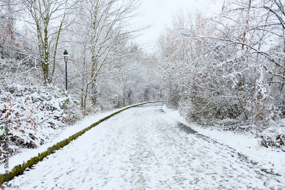 A snowy road in winter with lots of snow A snowy road in winter with lots of snow