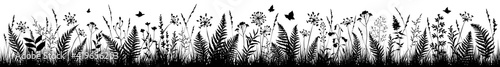 Background with black silhouettes of meadow wild herbs. Wildflowers. Floral background.