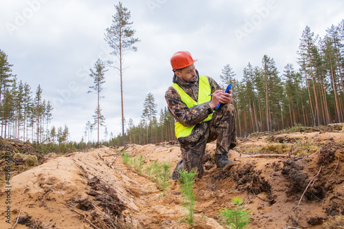 Photos A forest engineer makes monitoring of forest areas with planted seedlings