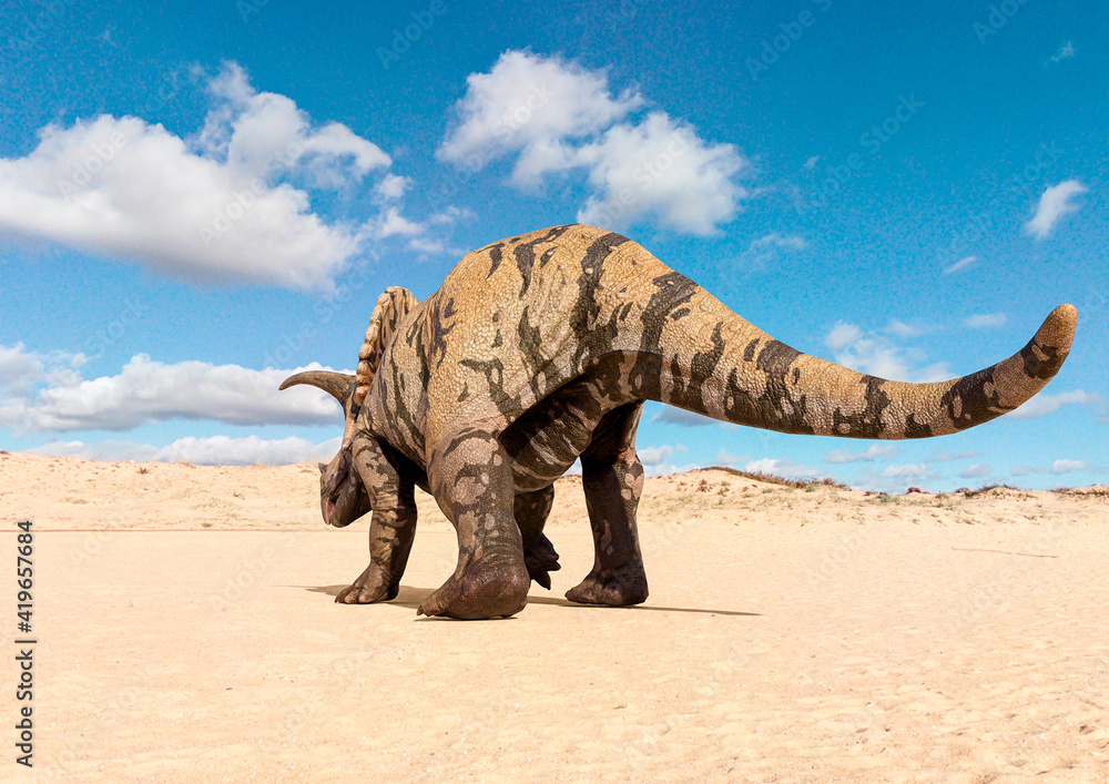 Fototapeta premium triceratops rear view