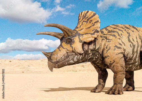 triceratops side close up view © DM7