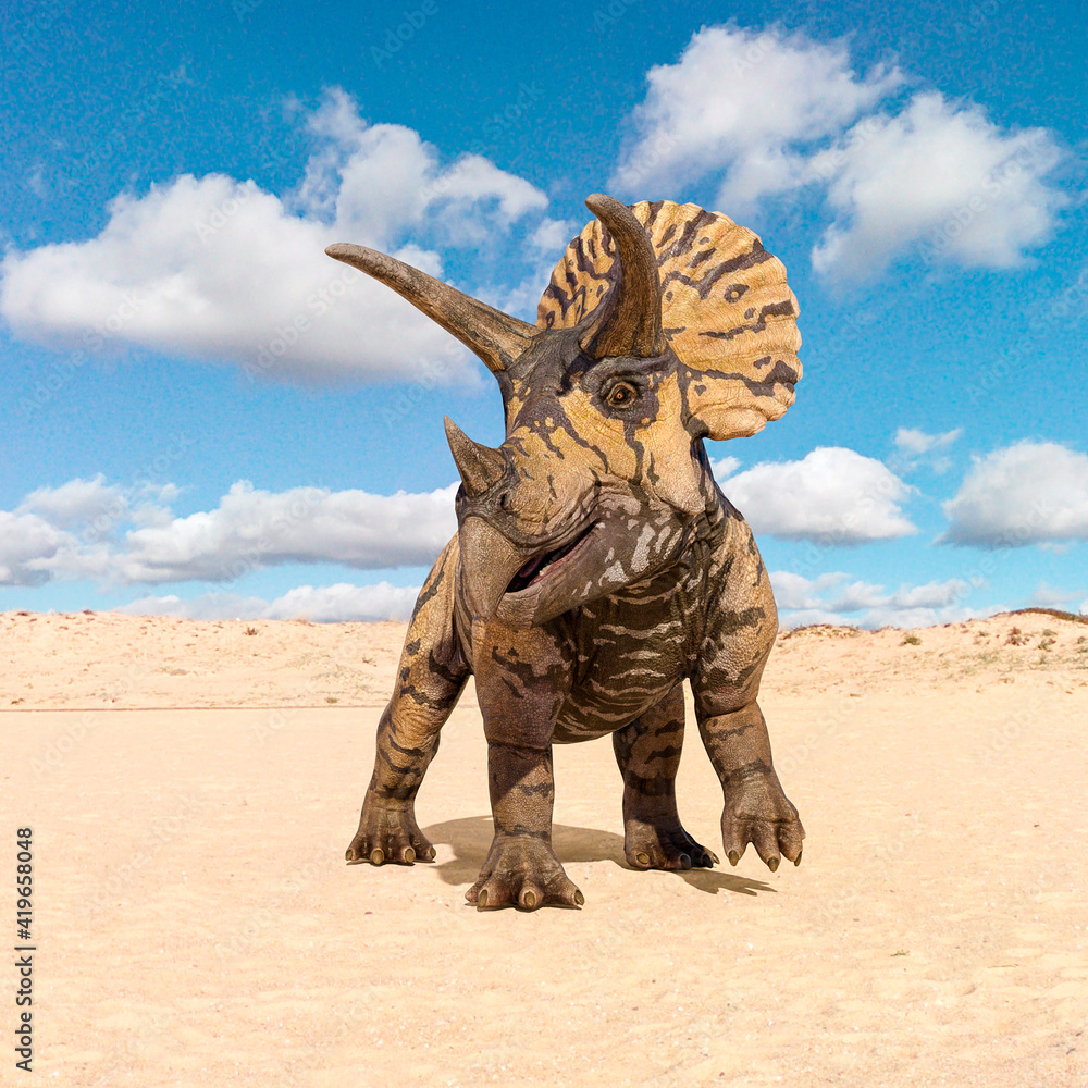 Fototapeta premium triceratops front view