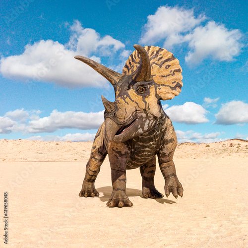 triceratops front view