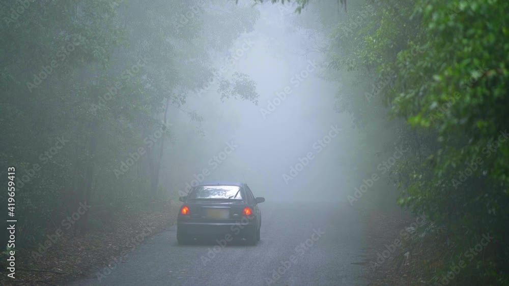 Car On Road Amidst Trees In Forest During Foggy Weather Car On Road Amidst Trees In Forest During Foggy Weather