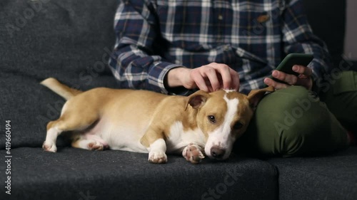 A man playing with a dog while using his smartphone at home.