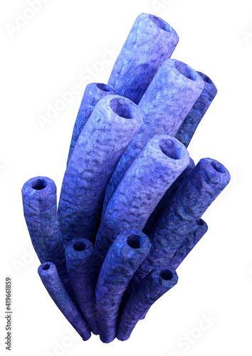 3D Rendering Blue Coral on White