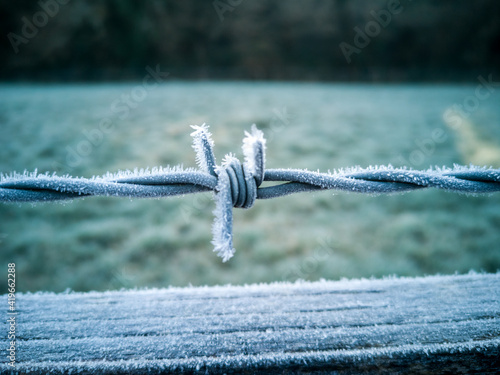 Frost On A Barbed Wire Fence In The Morning