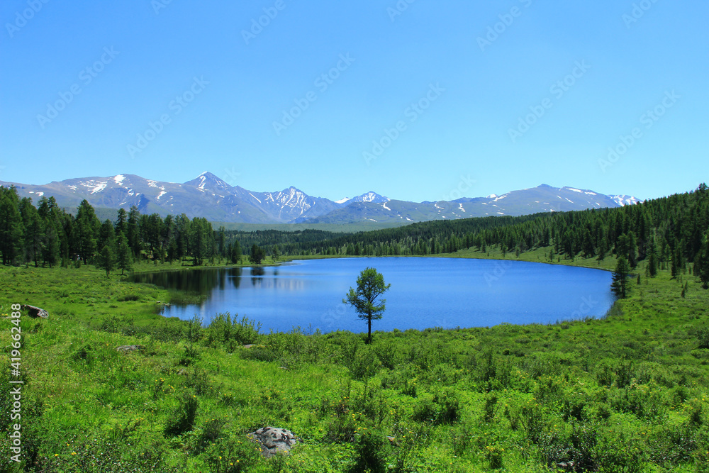 Lake Kidelyu with a dense forest, there is thick grass and bushes along the banks, there is one tree on the shore, in the distance there is a mountain range with snow-capped peaks, summer, sky, sunny