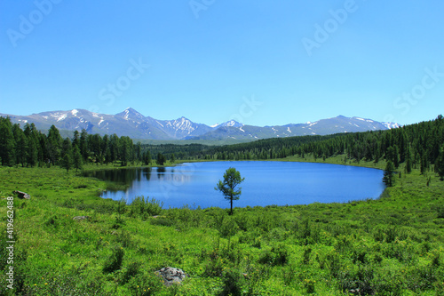 Lake Kidelyu with a dense forest, there is thick grass and bushes along the banks, there is one tree on the shore, in the distance there is a mountain range with snow-capped peaks, summer, sky, sunny