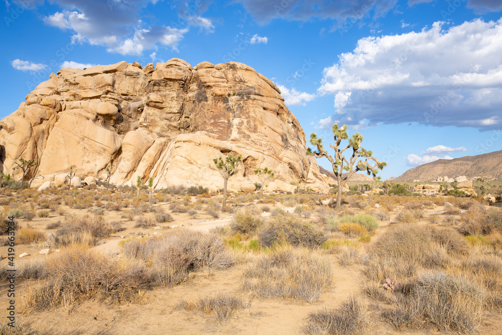 Joshua Tree National Park in California, USA Joshua Tree National Park in California, USA