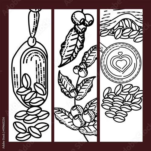 coffee seeds banner