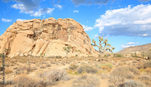 Joshua Tree National Park in California  USA