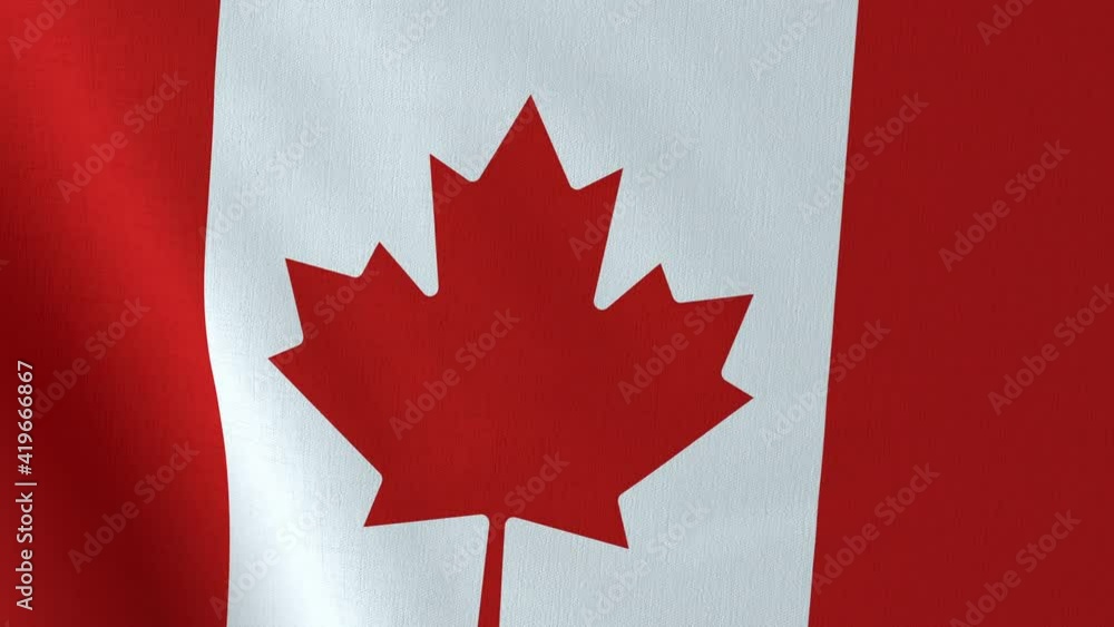 Waving Canada flag. Canadian waved flag close up fabric texture. National Canada background. 3d render 4k looped animation. Waving Canada flag. Canadian waved flag close up fabric texture. National Canada background. 3d render 4k looped animation.