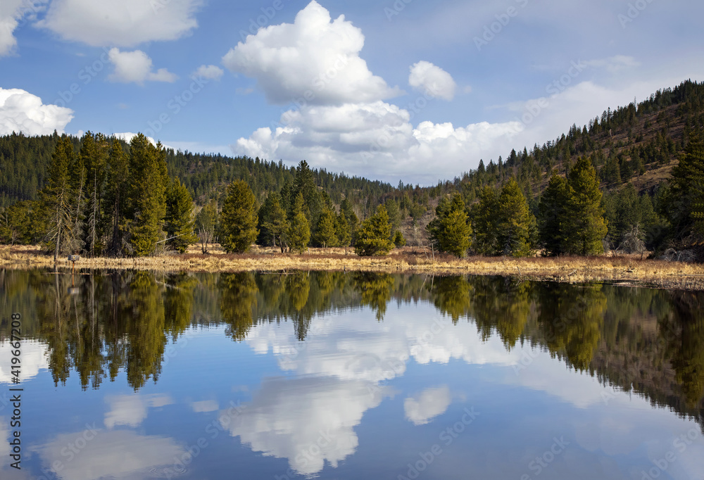 Original landscape photograph of a glassy lake reflecting the evergreen tree covered hills and white billowy clouds