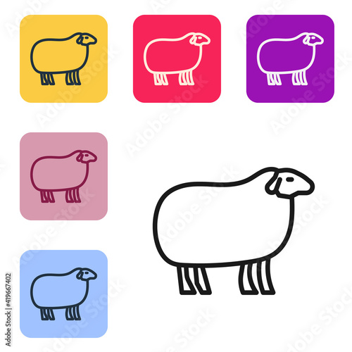 Black line Sheep icon isolated on white background. Animal symbol. Set icons in color square buttons. Vector.