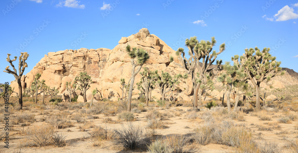 Joshua Tree National Park in California, USA Joshua Tree National Park in California, USA