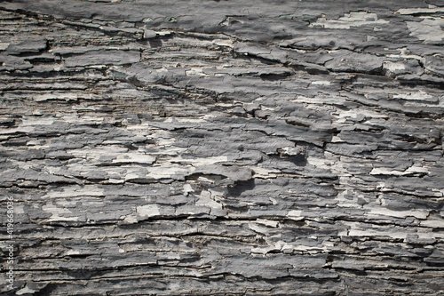 Old and damaged wood surface.