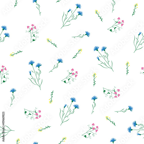 Wild flower sweet pea and knapweed seamless repeating pattern with white background. Vector illustration