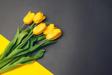 Spring yellow flowers. Bouquet of tulips on grey background. Present, gift for Mother's day. Space