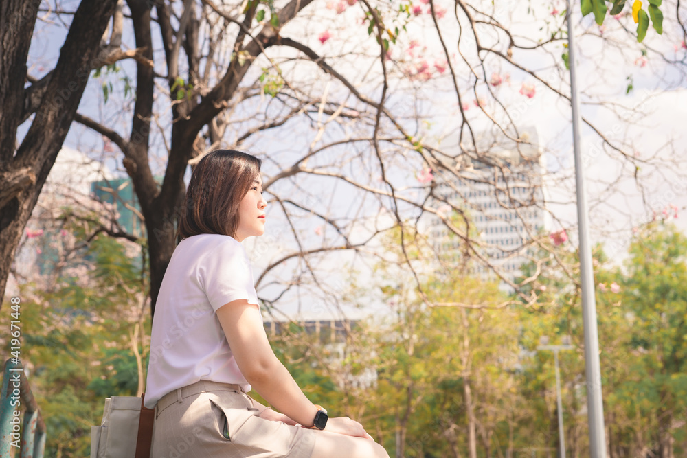 asian woman solo traveler painting and diary record to her tablet with see pink cherry blossom blooming from springtime road trip asian woman solo traveler painting and diary record to her tablet with see pink cherry blossom blooming from springtime road trip