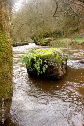 ROCHER CARRE AVEC FOUGERES
