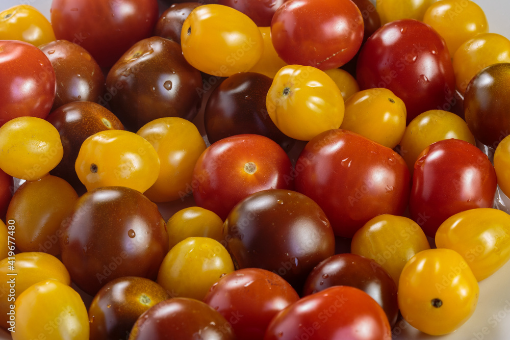 Multicolored tomatoes of different varieties. Fashionable vegan food. Multicolored tomatoes of different varieties. Fashionable vegan food.