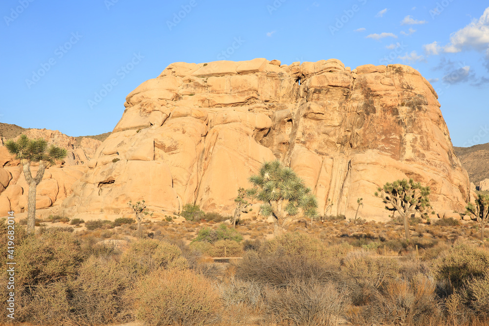 Joshua Tree National Park in California, USA Joshua Tree National Park in California, USA