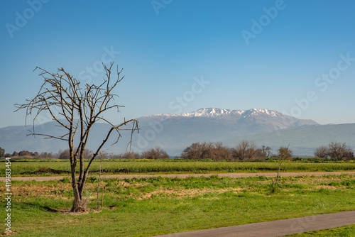 View of Mount Hermon from Agmon Hahula Nature Reserve in Israel photo