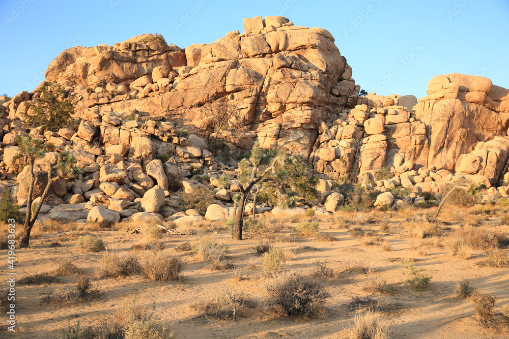 Joshua Tree National Park in California, USA Joshua Tree National Park in California, USA